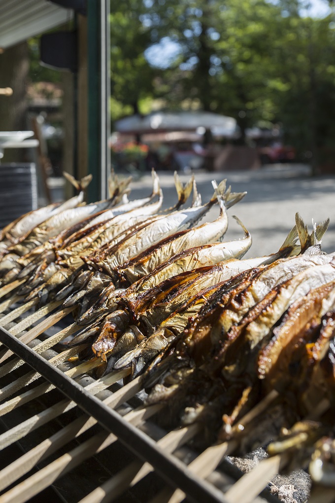 Fisch in der Waldwirtschaft