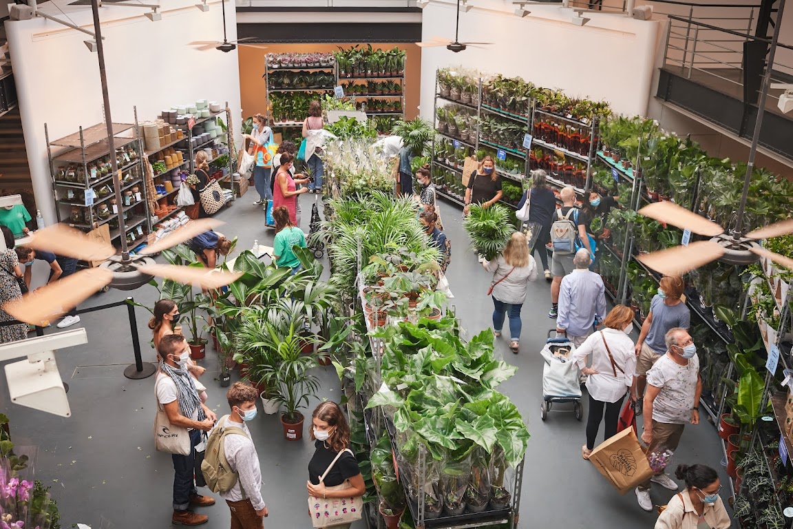 Zimmerpflanzen kaufen in München: Event Pflanzen für alle