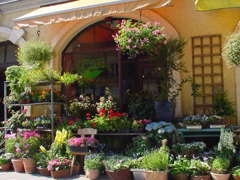 Zimmerpflanzen kaufen in München: Blütenkorb